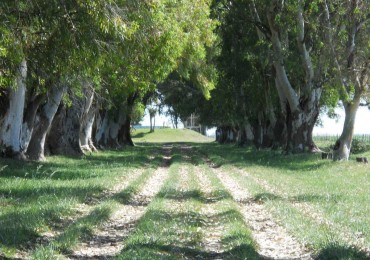 Hermoso Lote en Amarylis, barrio cerrado